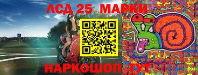 крисы Кимры