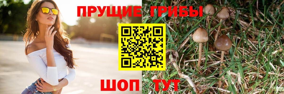 Кубинка  Галлюциногенные грибы мицелий  Вход с VPN 